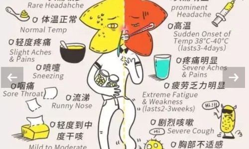 苦豆根喝多了会中毒吗-苦豆根的功效-专业苦豆根的正确泡法平台-苦豆根的正确泡法