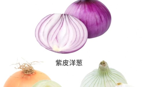 苦豆根的功效-专业苦豆根的正确泡法平台-苦豆根的正确泡法