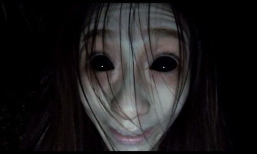 苦豆根喝多了会中毒吗-苦豆根的功效-专业苦豆根的正确泡法平台-苦豆根的正确泡法